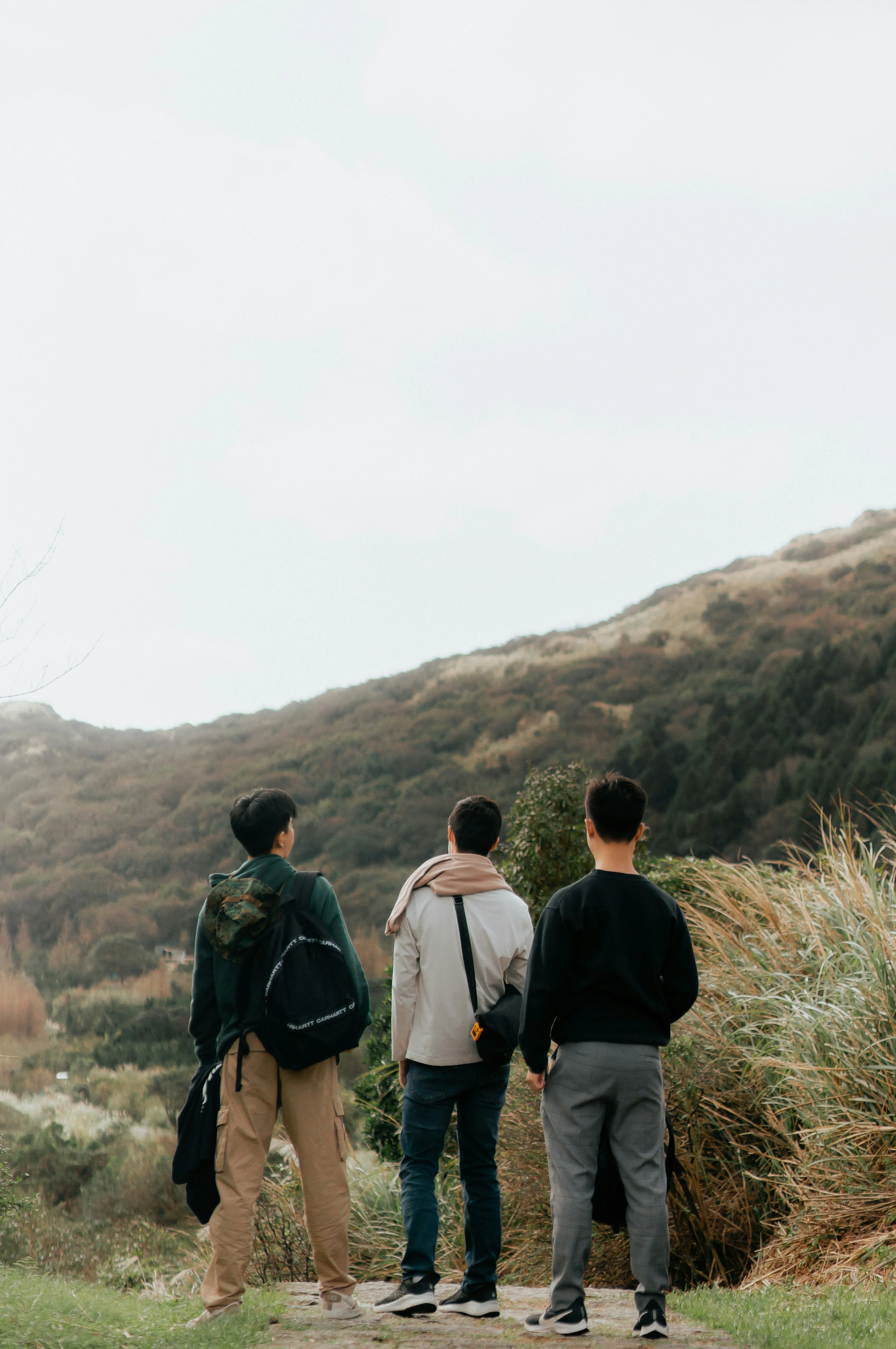Three young men standing together with arms around each other's shoulders, looking out at a green hillside